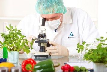 食品檢驗內容包括什么？